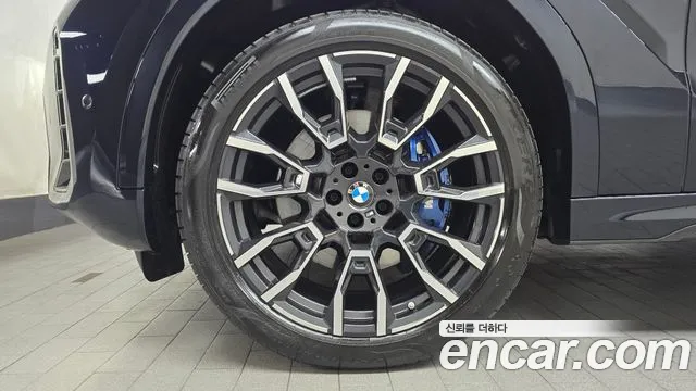 2025 BMW X6 (G06) xDrive30d M Sport Sold VIN WBA11EY04S9069921 – photo 29