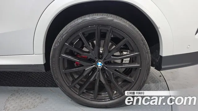 2025 BMW X6 (G06) xDrive40d M Sport Online Exclusive Sold VIN WBA21EY01S9Y86977 – photo 20