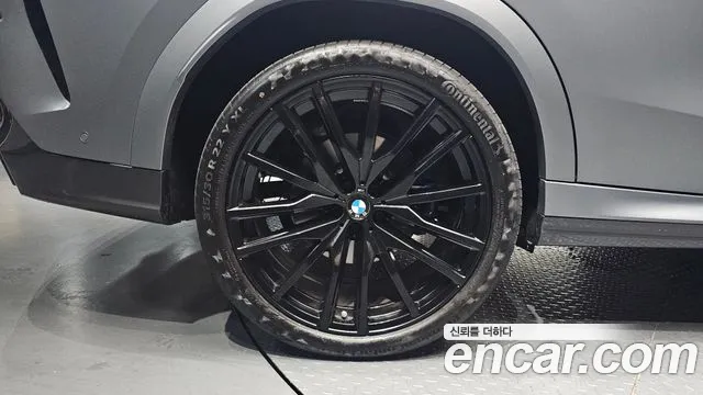 2025 BMW X6 (G06) xDrive40i M Sport Pro Special Edition Sold VIN WBA31EX06S9Z61307 – exterior detail