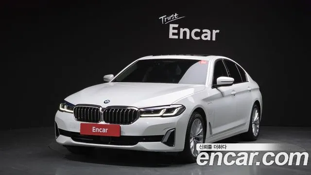2021 BMW 5Series (G30) 530e Luxury Sold VIN WBA51AG06MCG90002 – photo 20