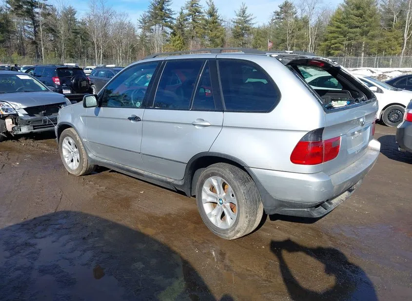 2001 BMW X5 VIN WBAFA53531LP23804