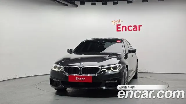2018 BMW 5Series (G30) 530i M Sport Package Plus Sold VIN WBAJD3108JB255653 – photo 13