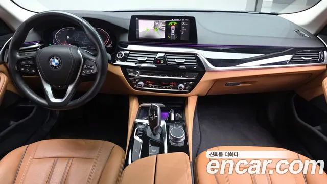 2020 BMW 5 Series (G30) 520i Luxury Sold VIN WBAJK9106LCE04196 – odometer reading