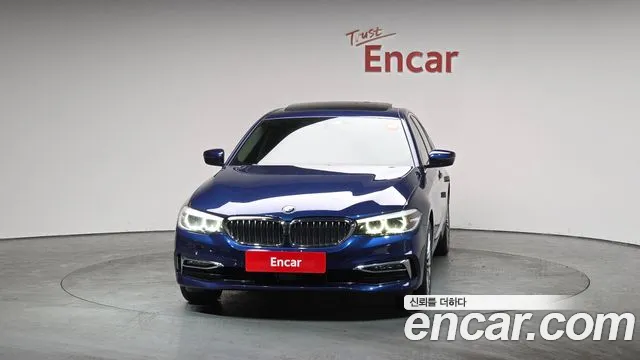 2020 BMW 5 Series (G30) 520i Luxury Sold VIN WBAJK9106LCE04196 – photo 16