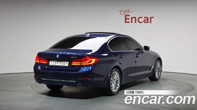 2020 BMW 5 Series (G30) 520i Luxury Sold VIN WBAJK9106LCE04196 – photo 17