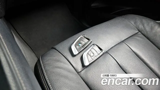 2018 BMW X6 (F16) xDrive 30d Sold VIN WBAKV210XJ0Y39172 – photo 31